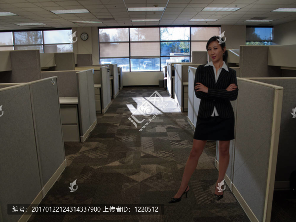 辦公室里的女人