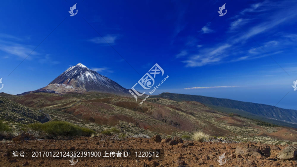 泰德高度藍