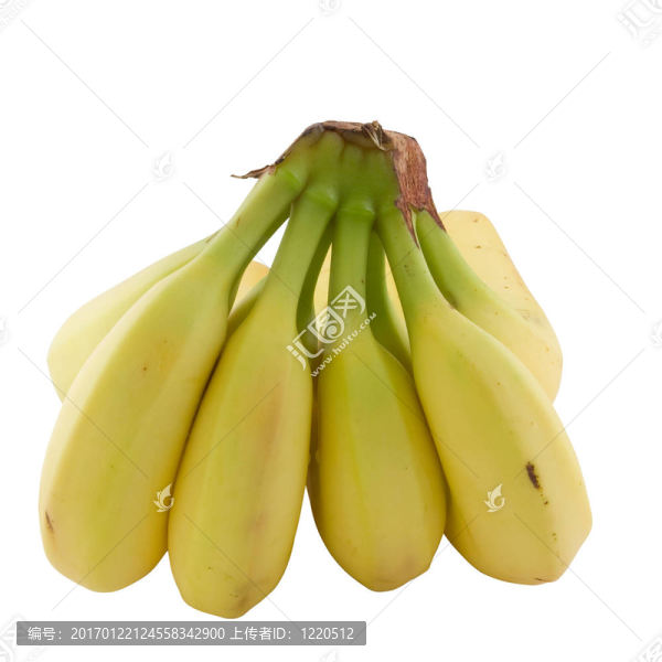香蕉簇。