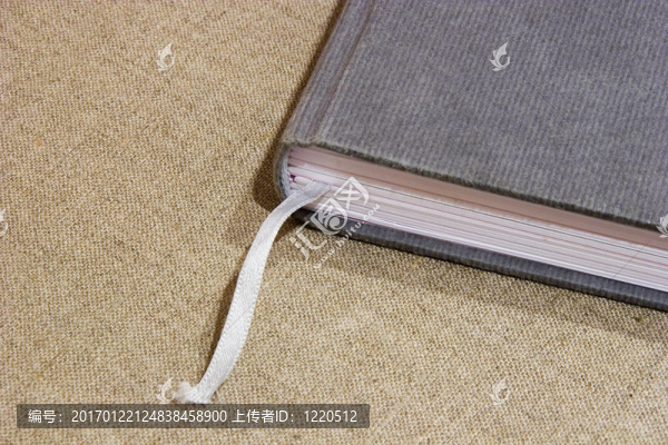 圖書；瀏覽；數(shù)據(jù)；日記；翻轉(zhuǎn)；信息；期刊；學(xué)習(xí)；圖書館；看；注；開放；墊；頁；紙；個(gè)人；閱讀；記錄；