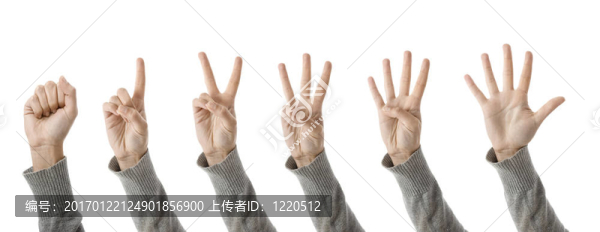 人工計(jì)數(shù)