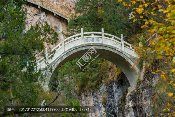 甘肅官鵝溝彩林