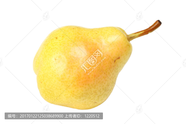 梨離體