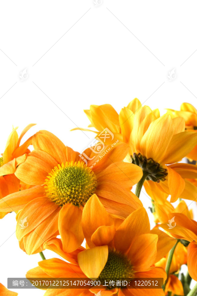 花束