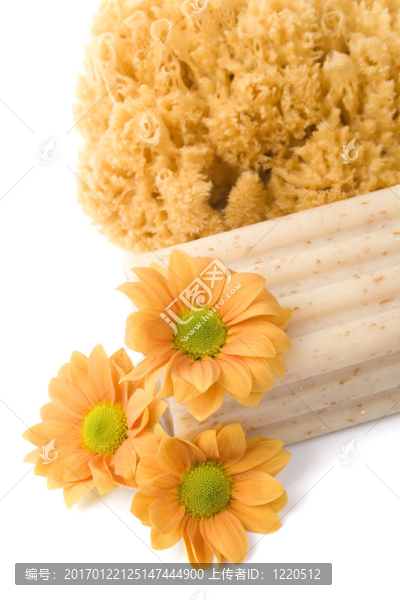 天然海綿；肥皂和花卉