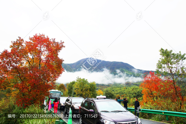塔川紅葉