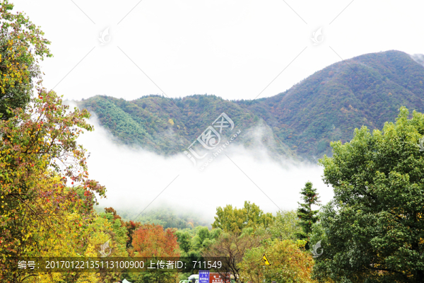 山間霧氣繚繞