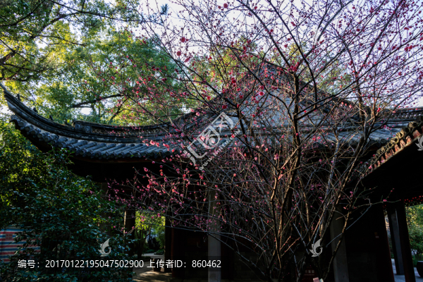 中式園林景點,園林,古建筑