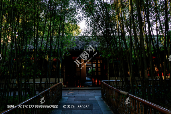 竹子,草堂