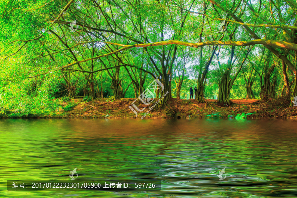 森林湖泊