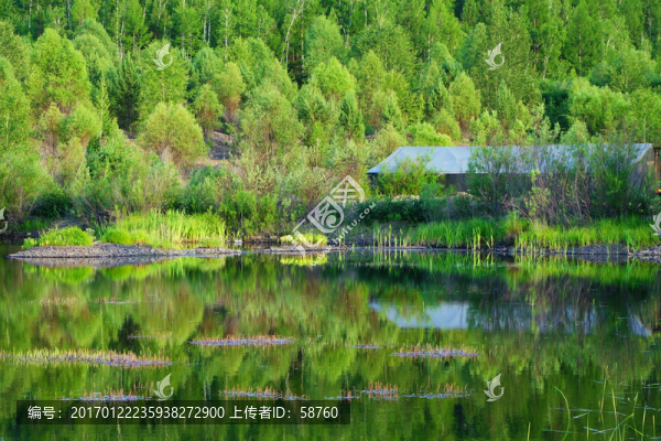 濕地湖泊