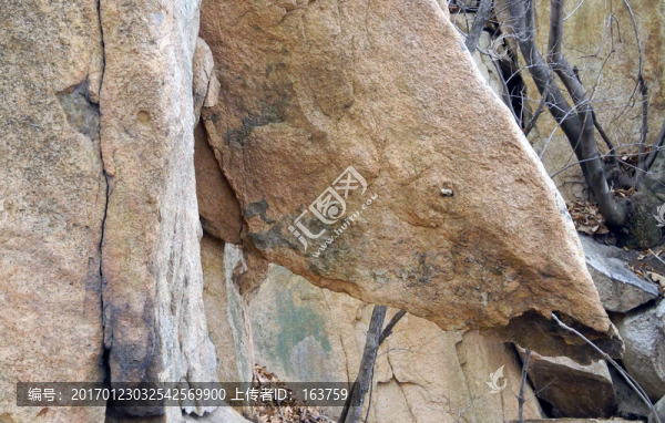 魚(yú)臉形的怪石
