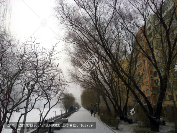 雪后的公園廊道