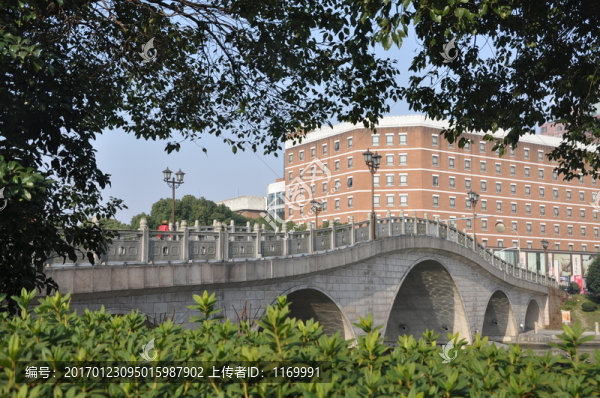橋
