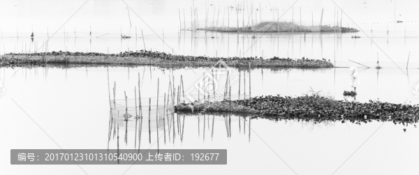 濕地公園