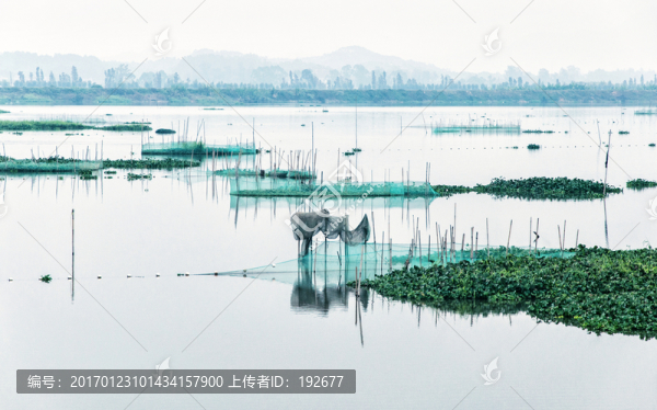 濕地公園