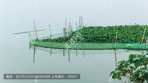 濕地公園