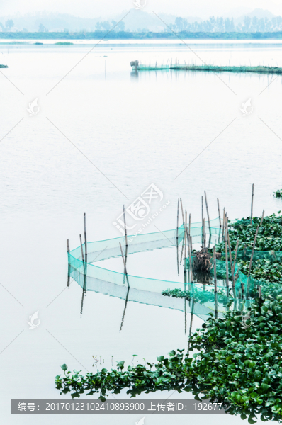 濕地公園