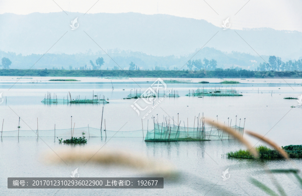 濕地公園