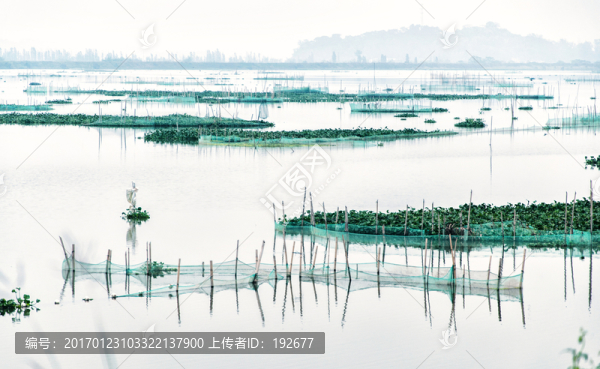 濕地公園