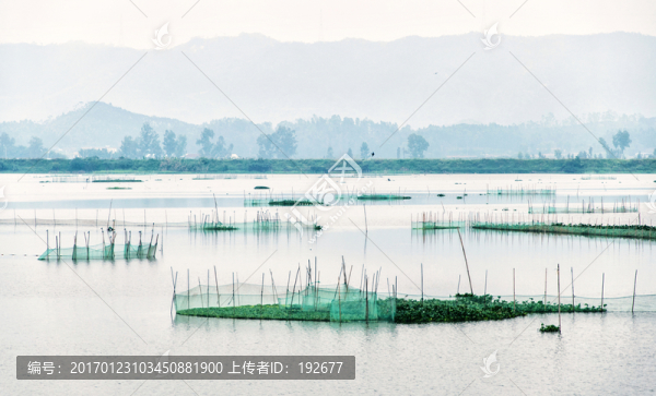 濕地公園