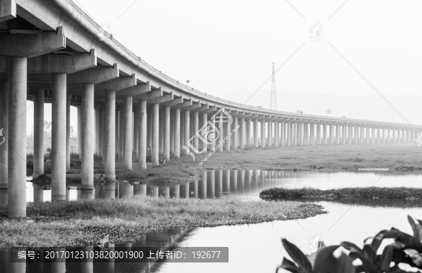 濕地公園