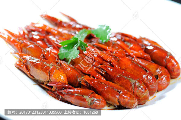 口水龍蝦-匯圖網(wǎng) www.fosd68.com 口水龍蝦