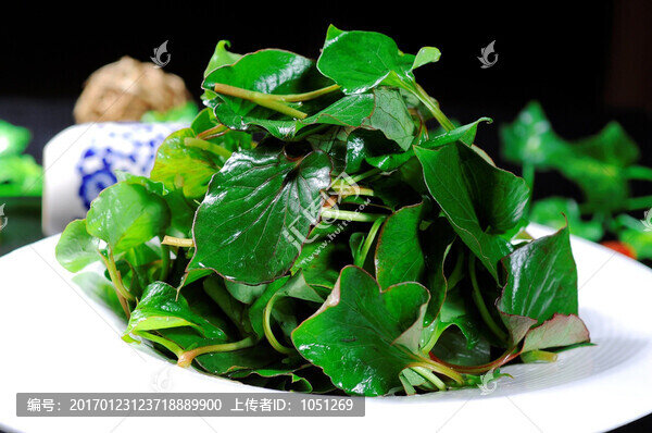 拌折耳根