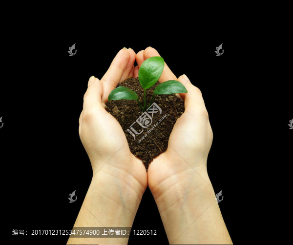 植物在手