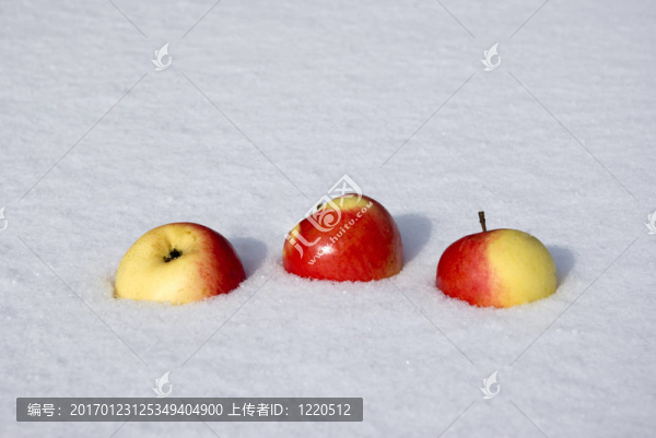 蘋果