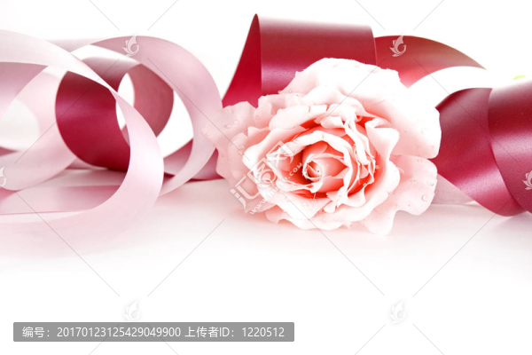 粉紅絲帶