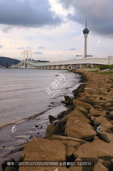海的彼岸