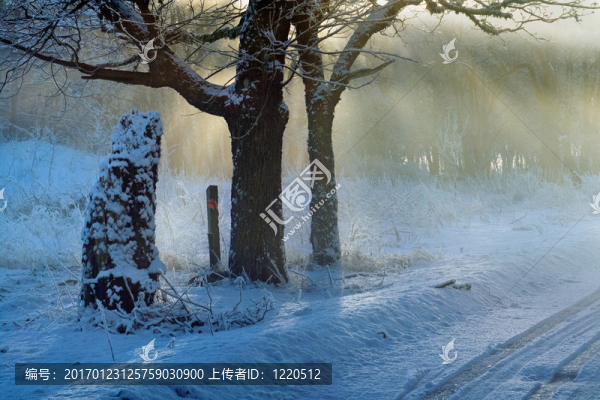 在有霧的早晨