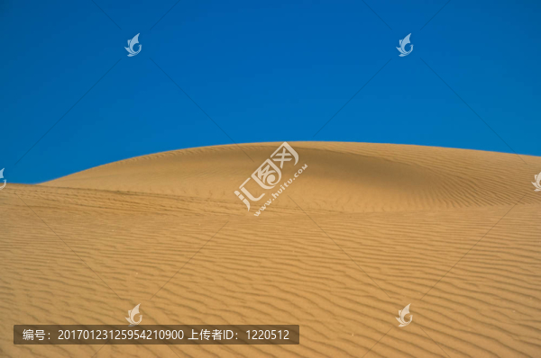 沙灘上的沙丘。