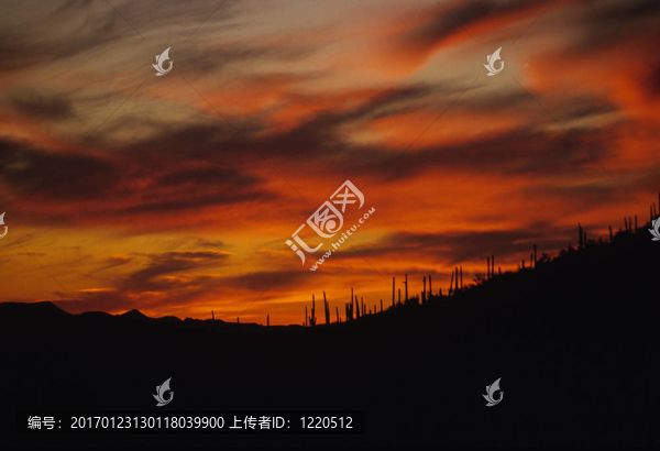索諾拉沙漠的日落