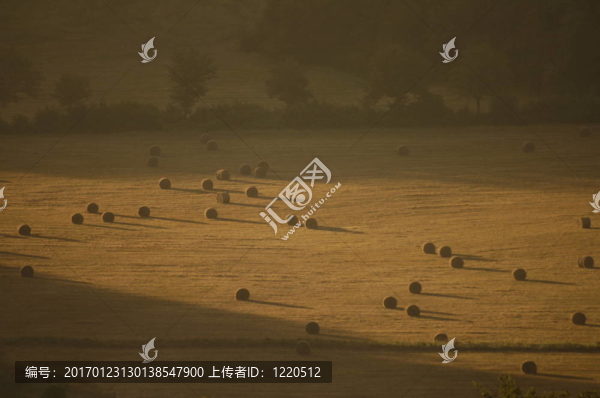 托斯卡納秸稈還田