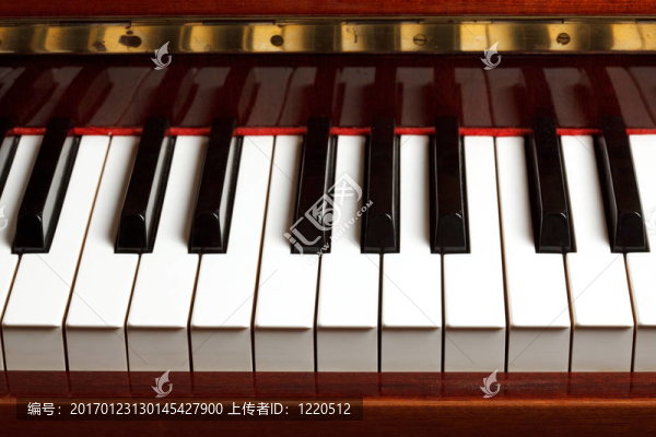 鋼琴鍵盤