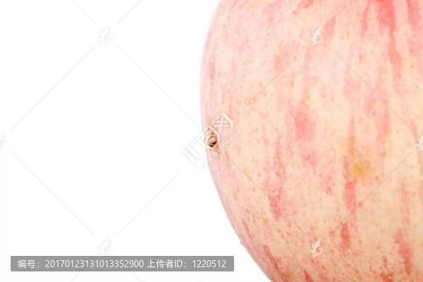 蘋果和蟲子