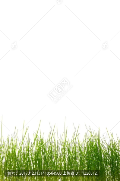 草