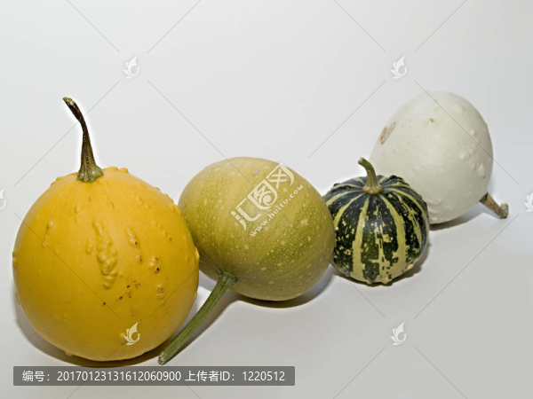 南瓜