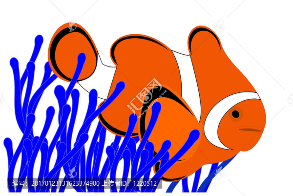 小丑魚