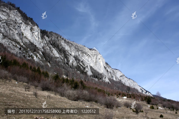 charpatian山