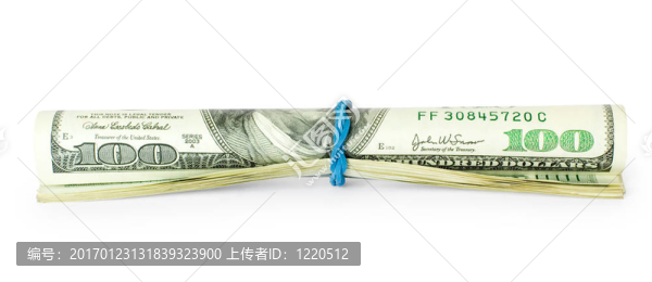 白色上隔離的錢