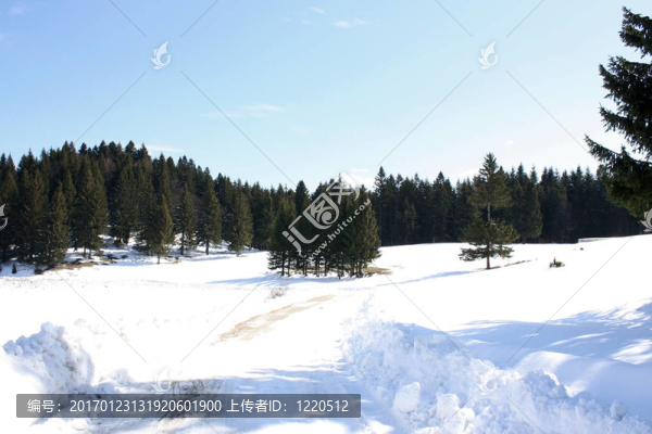 從普雷代亞爾高原山區(qū)