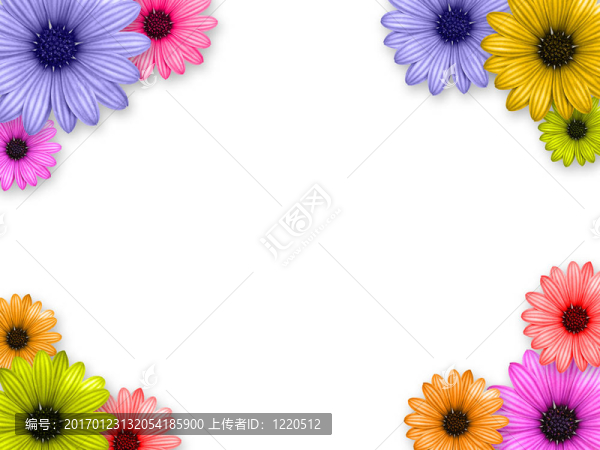花的結(jié)構(gòu)