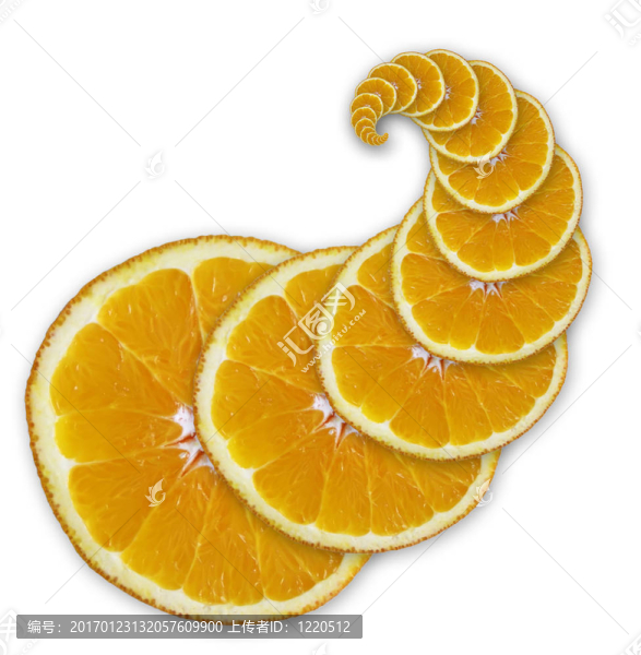 橙色切片(螺旋)-匯圖網(wǎng) www.fosd68.com 橙色切片(螺旋)