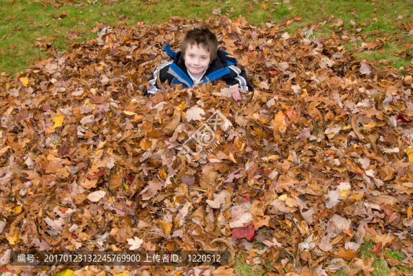 Young,Boy在一堆秋天的樹葉里