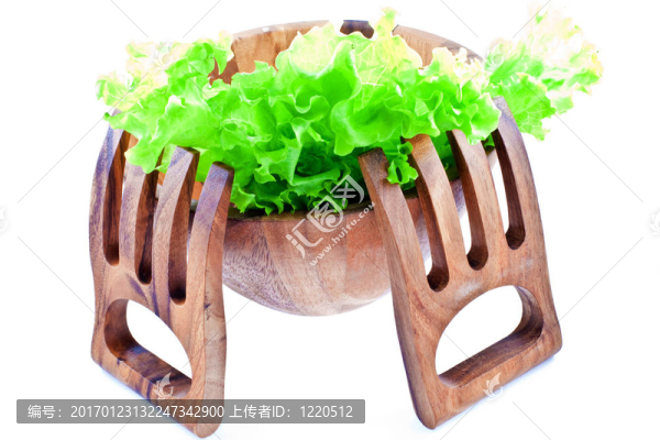 在沙拉碗里的生菜葉