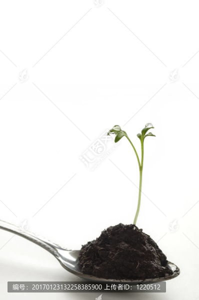 新的生活