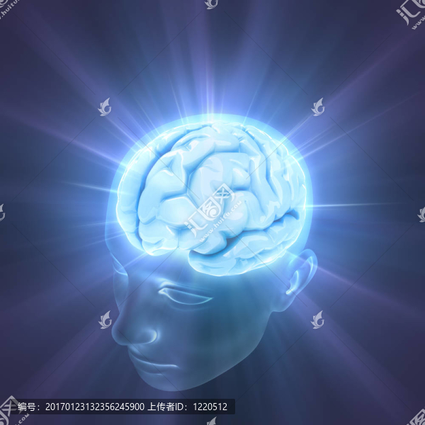 大腦(心靈的力量)-匯圖網(wǎng) www.fosd68.com 大腦(心靈的力量)